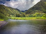 Vegan Travel: Maui, The East Side