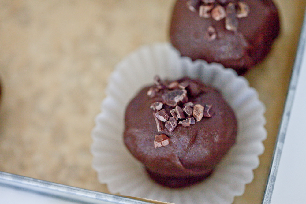 Chocolate Chickpea Truffle