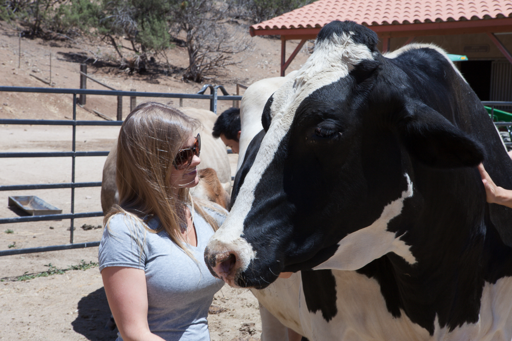 Farm Sanctuary's Animal Acres