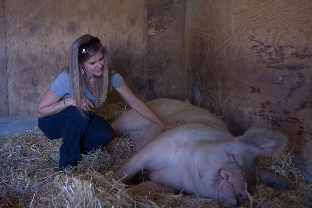 Farm Sanctuary's Animal Acres