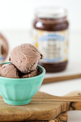 Dark Chocolate Peanut Butter Ice Cream