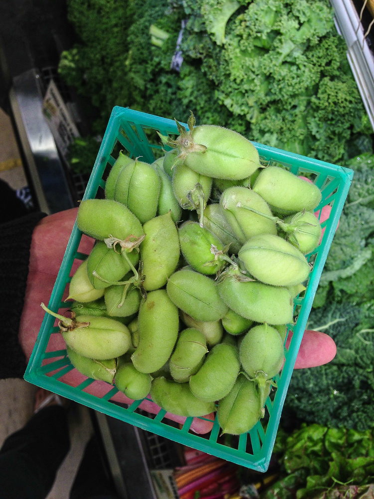 Fresh Garbanzo Beans