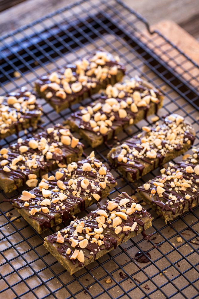 Peanut Butter Crunch Protein Bars