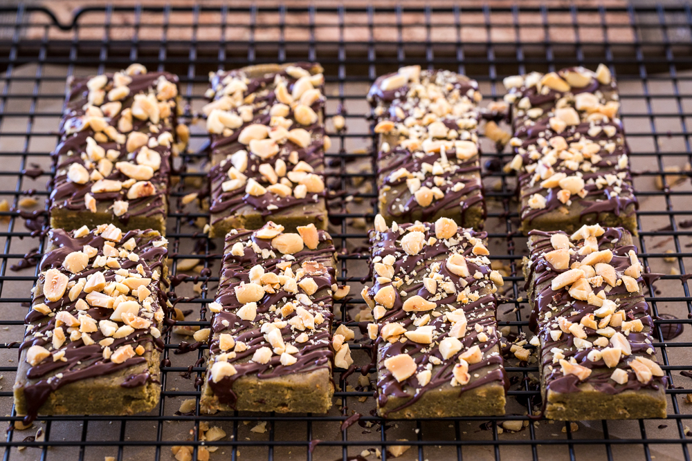 Peanut Butter Crunch Protein Bars