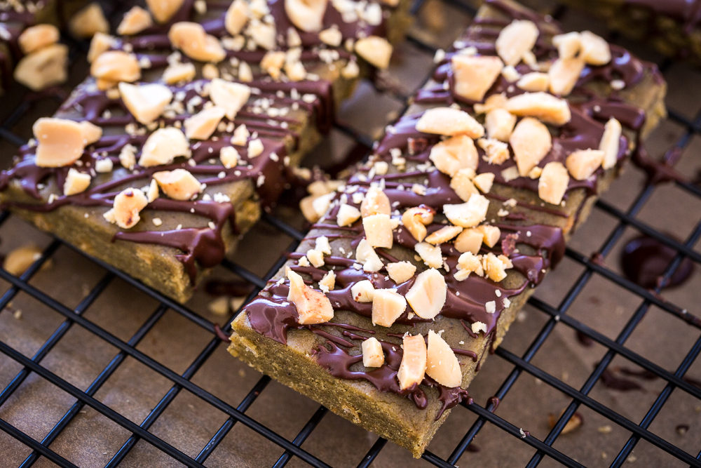 Peanut Butter Crunch Protein Bars