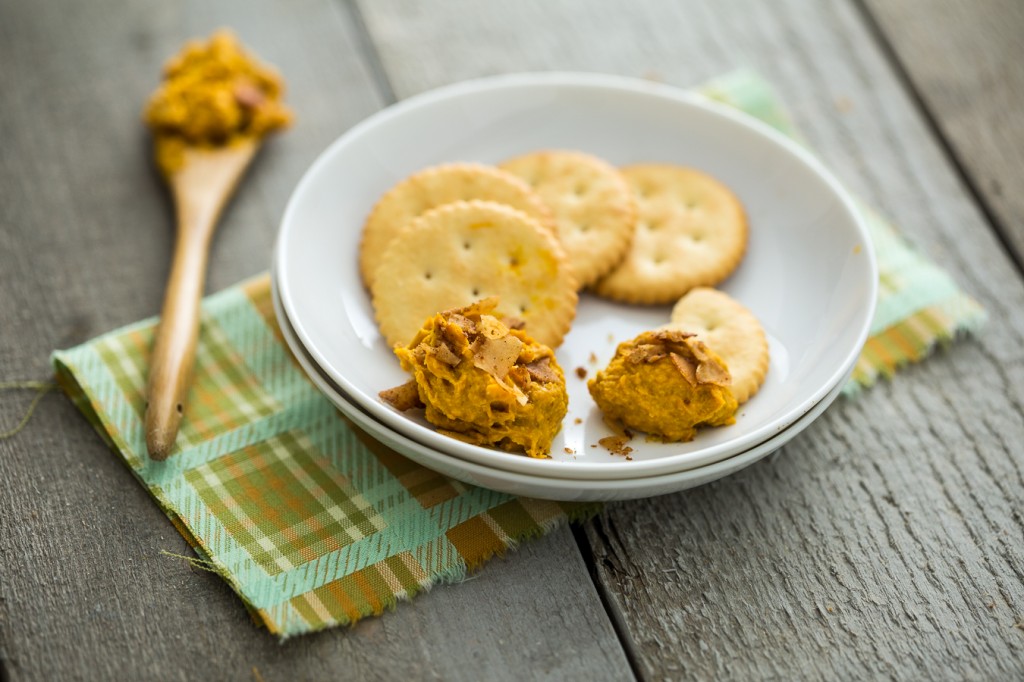 Vegan Cheddar Bacon Dip