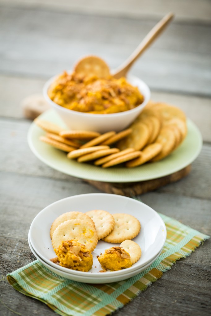 Vegan Cheddar Bacon Dip