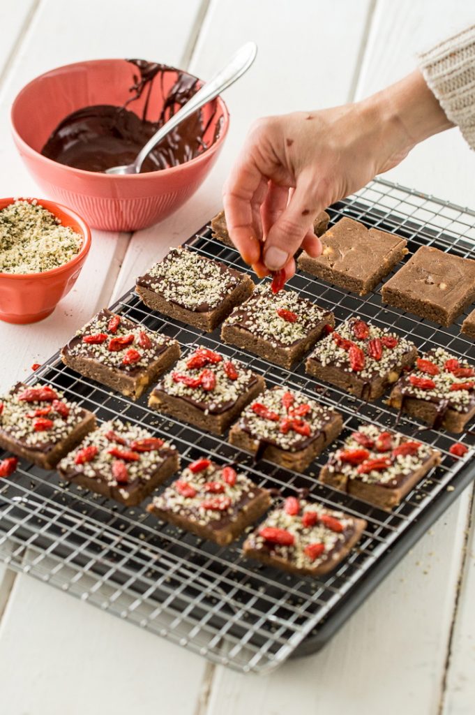 Hemp Chocolate-Berry Protein Bars