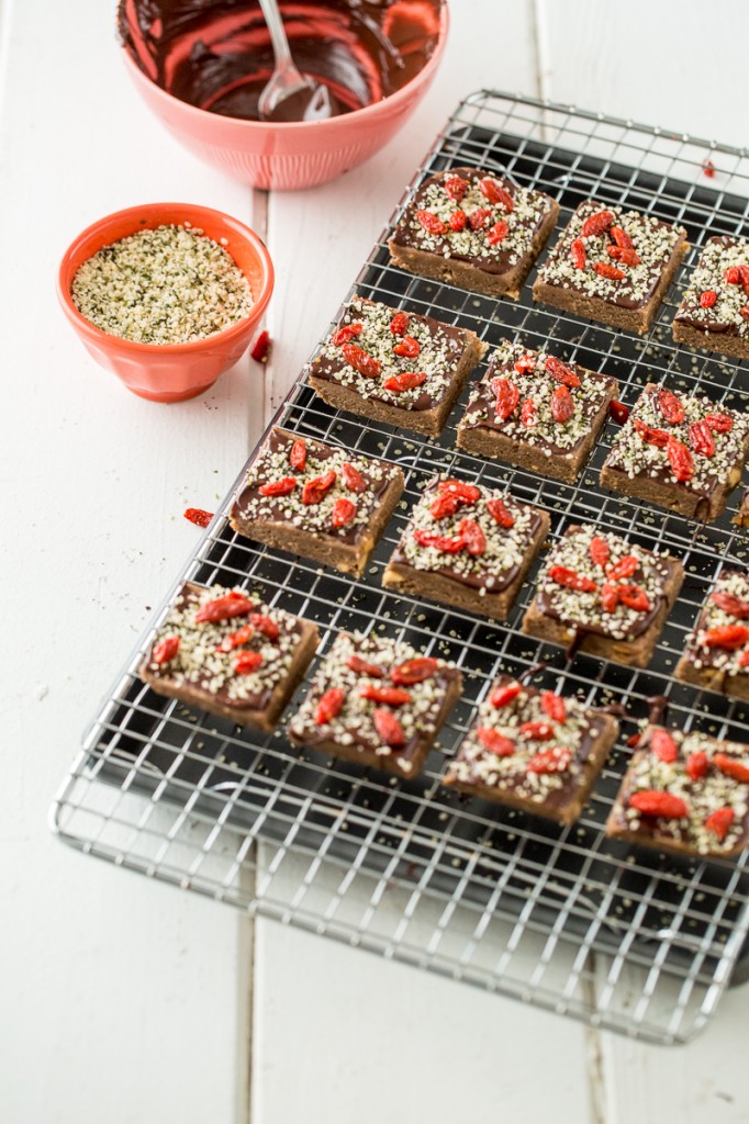 Hemp Chocolate-Berry Protein Bars