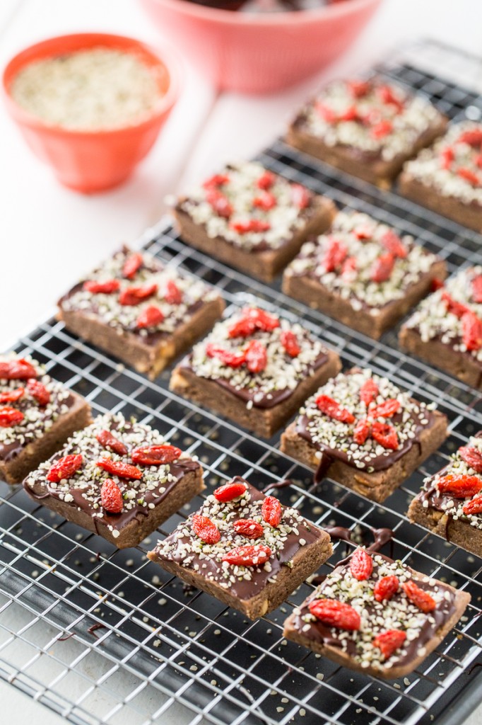 Hemp Chocolate-Berry Protein Bars