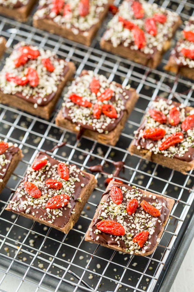 Hemp Chocolate-Berry Protein Bars