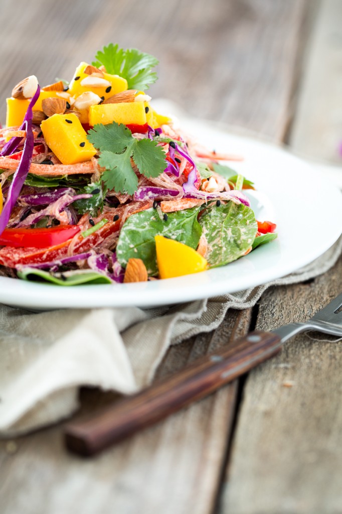 Rainbow Kelp Noodle Salad with Lemon Almond Ginger Dressing