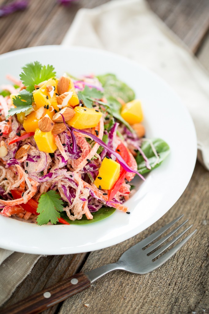 Rainbow Kelp Noodle Salad with Lemon Almond Ginger Dressing