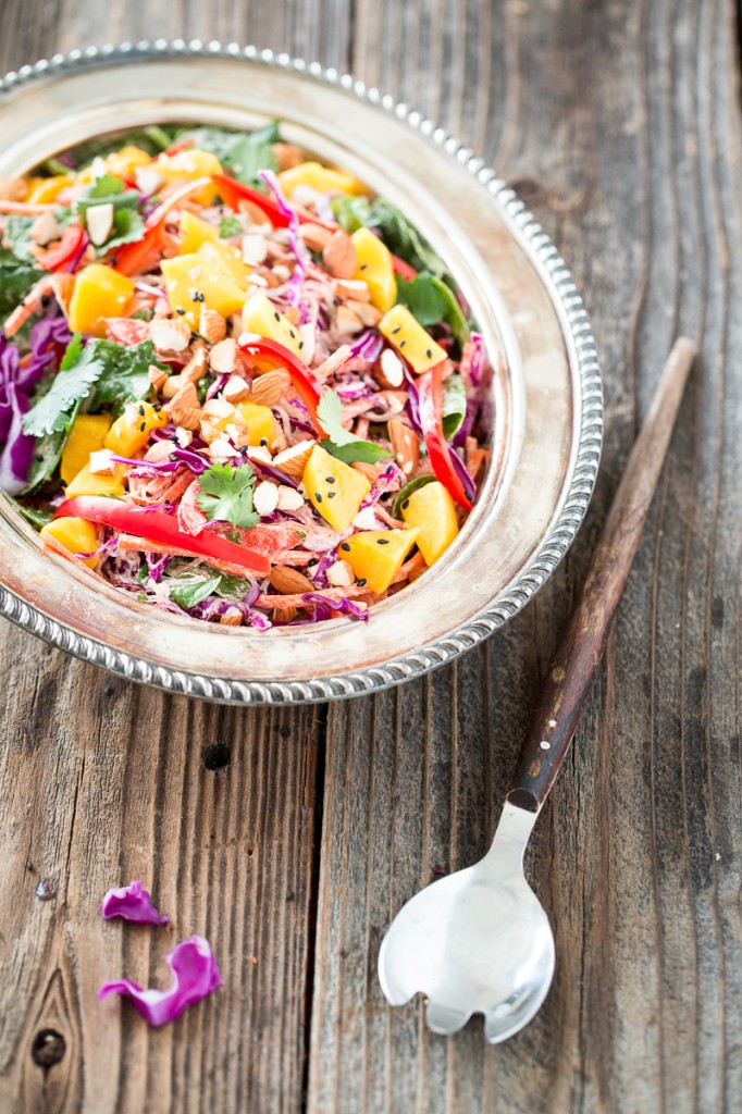 Rainbow Kelp Noodle Salad with Lemon Almond Ginger Dressing