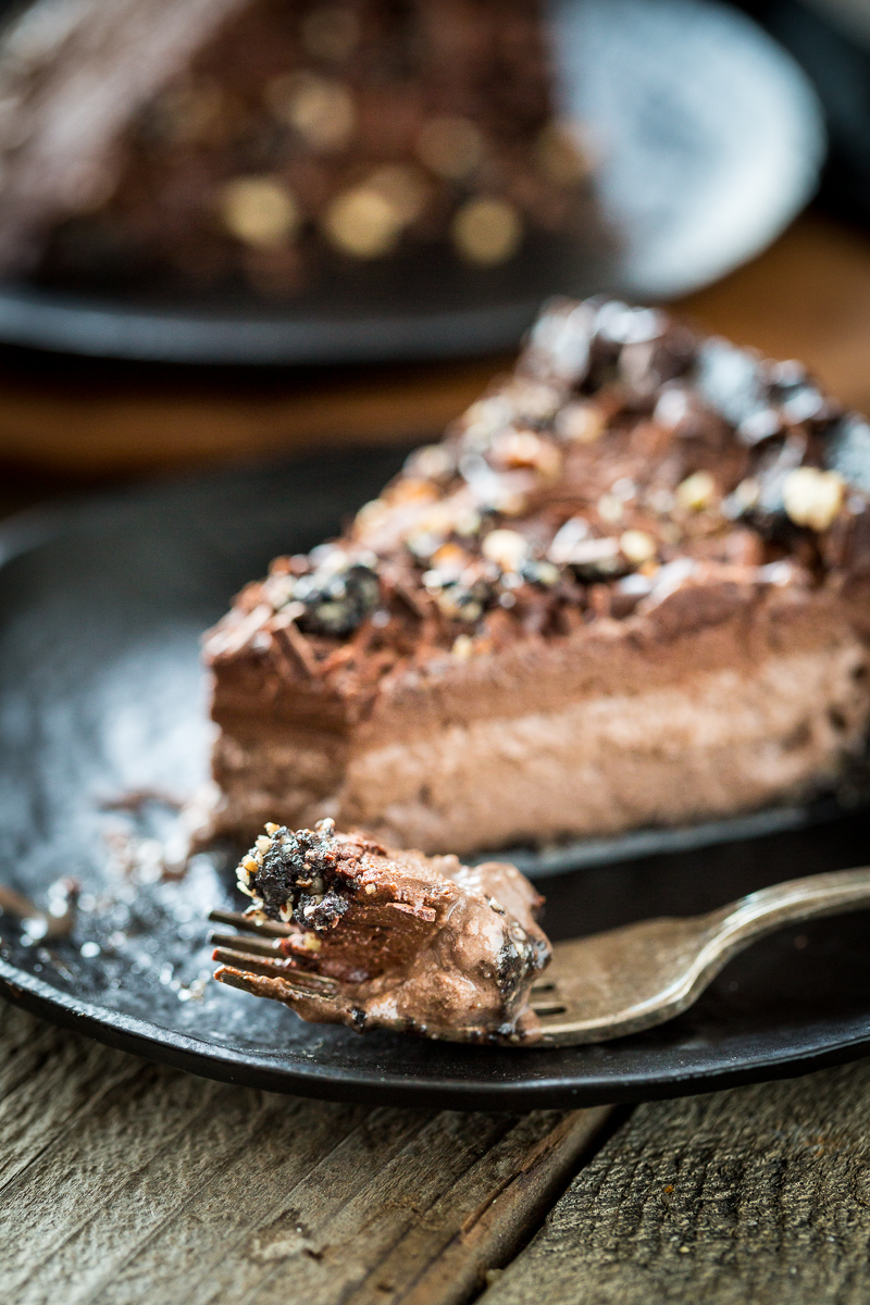 Frozen Mississippi Mud Pie