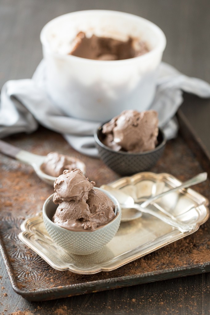 "Mississippi Mud" Chocolate Frozen Yogurt