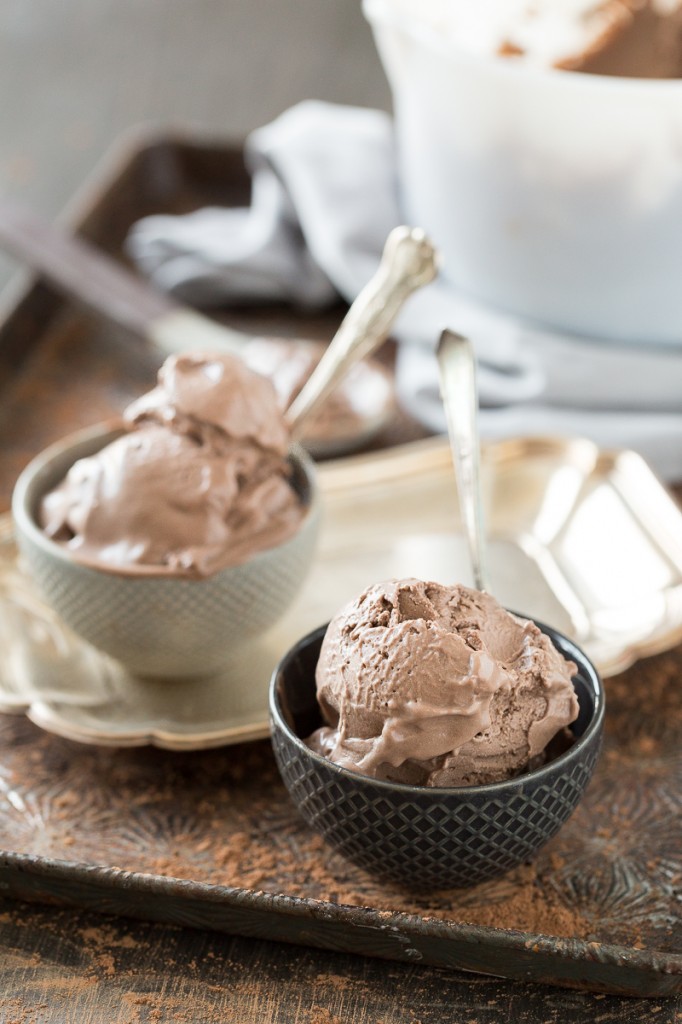 "Mississippi Mud" Chocolate Frozen Yogurt