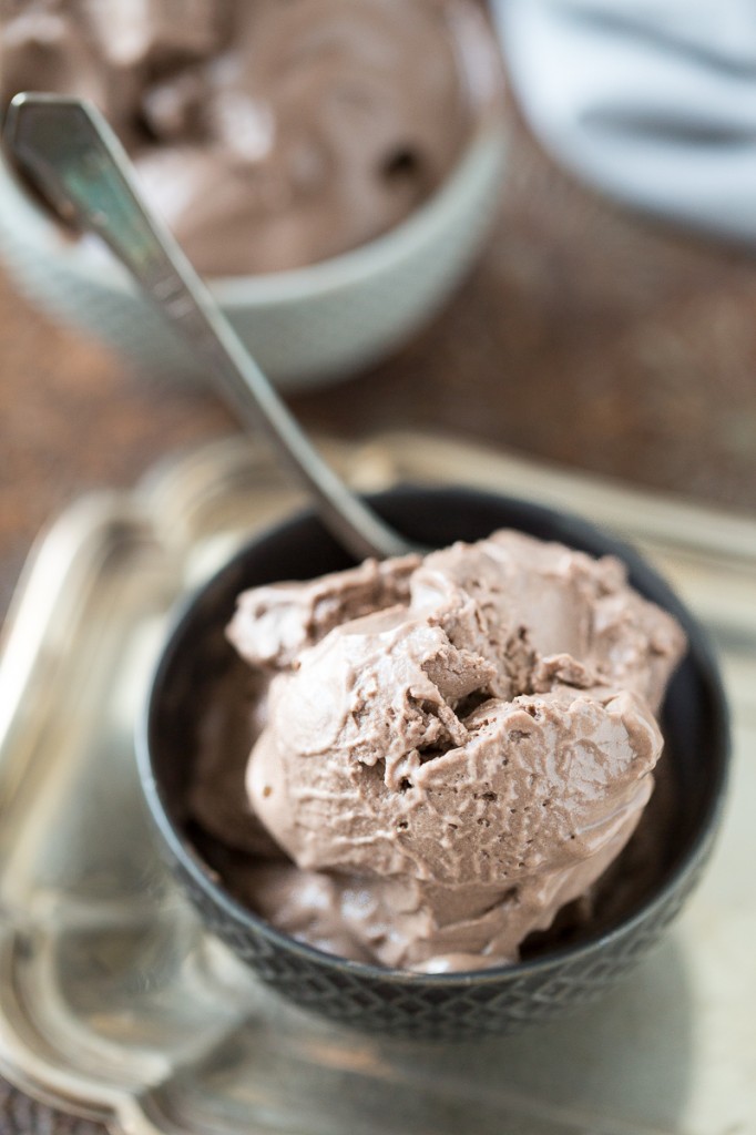 "Mississippi Mud" Chocolate Frozen Yogurt