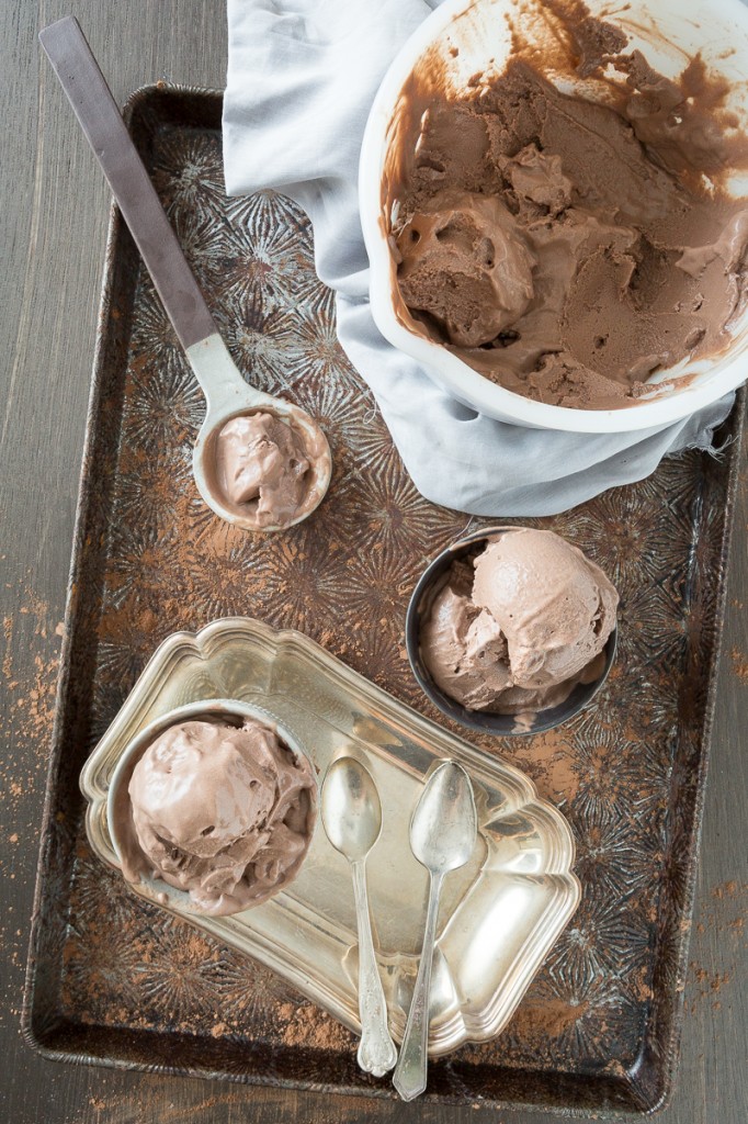 "Mississippi Mud" Chocolate Frozen Yogurt