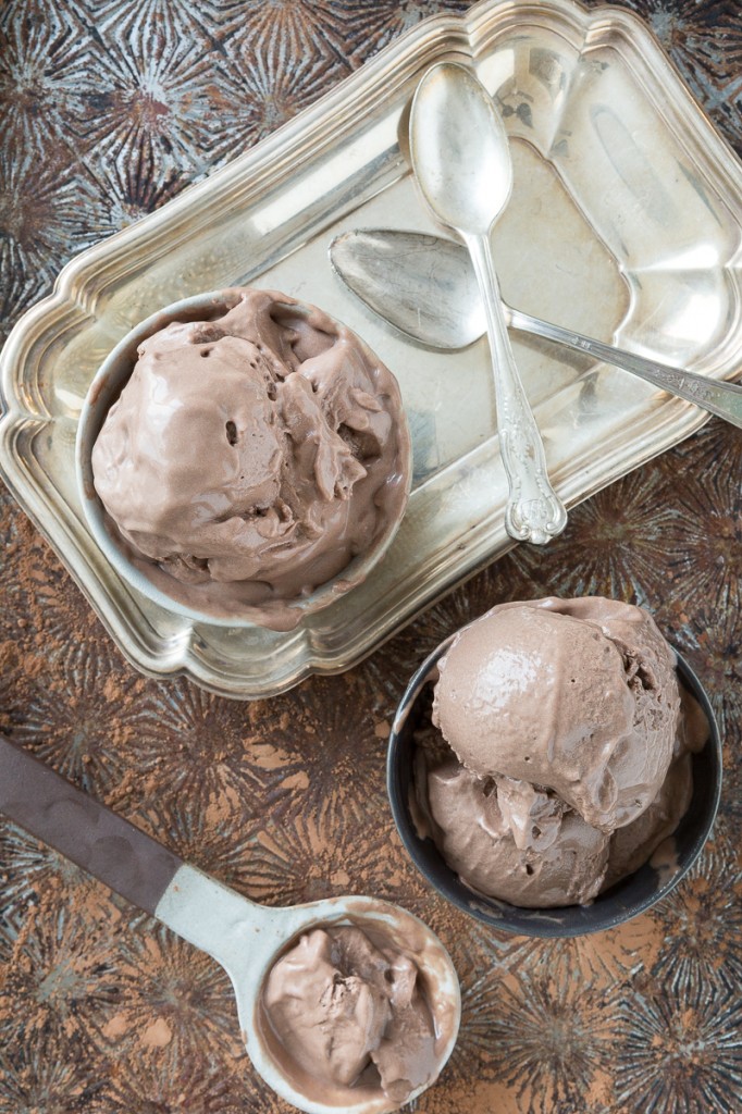 "Mississippi Mud" Chocolate Frozen Yogurt