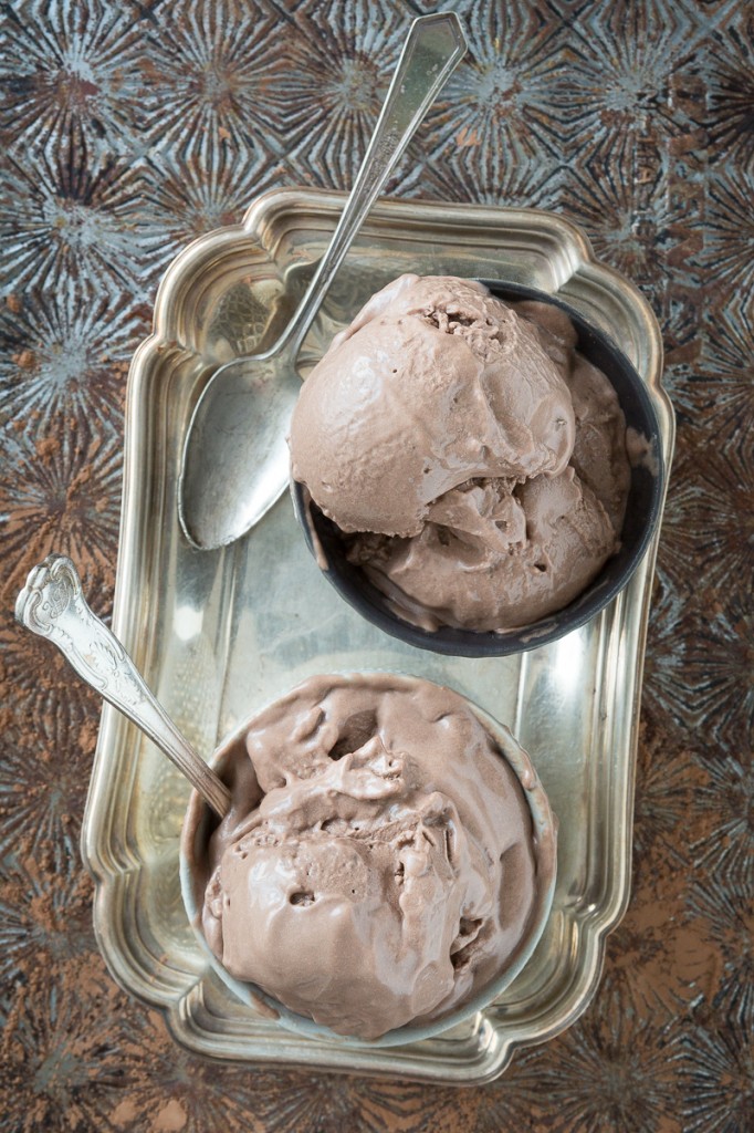 "Mississippi Mud" Chocolate Frozen Yogurt