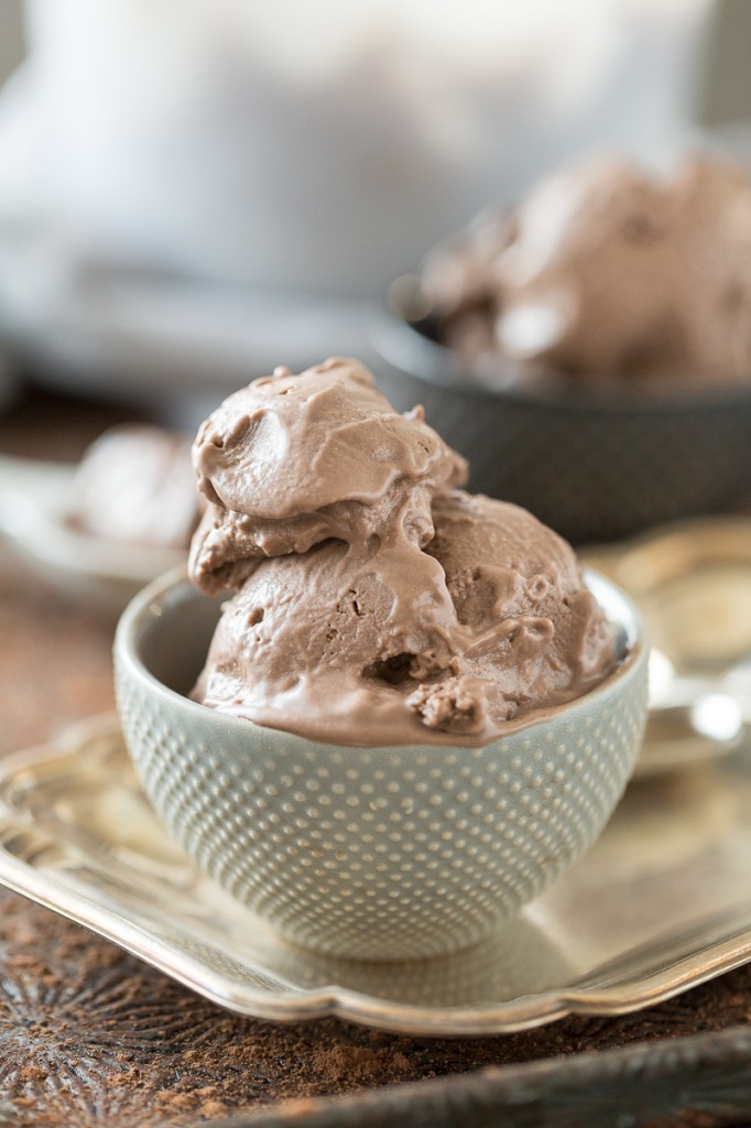 "Mississippi Mud" Chocolate Frozen Yogurt