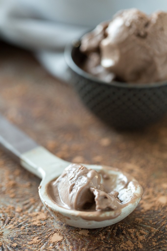 "Mississippi Mud" Chocolate Frozen Yogurt