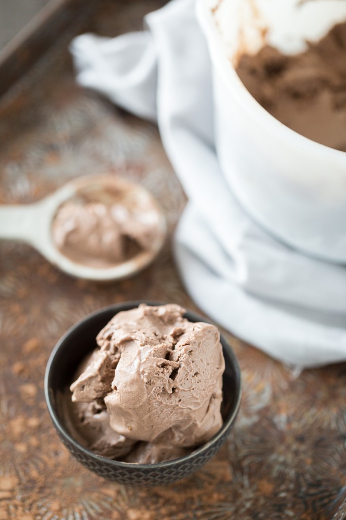 "Mississippi Mud" Chocolate Frozen Yogurt