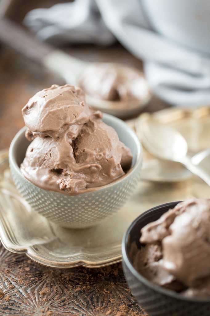 "Mississippi Mud" Chocolate Frozen Yogurt