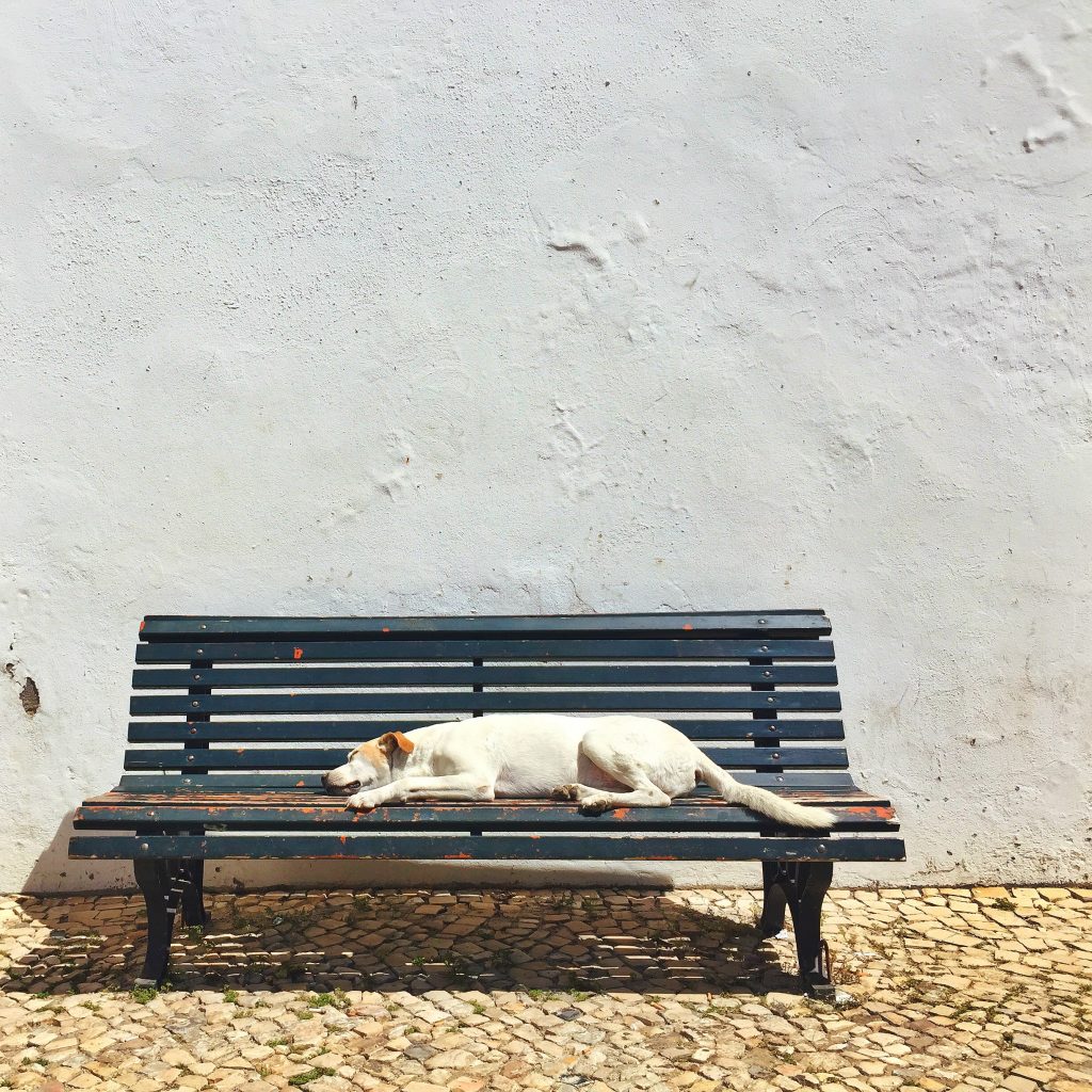 Vegan in Lisbon