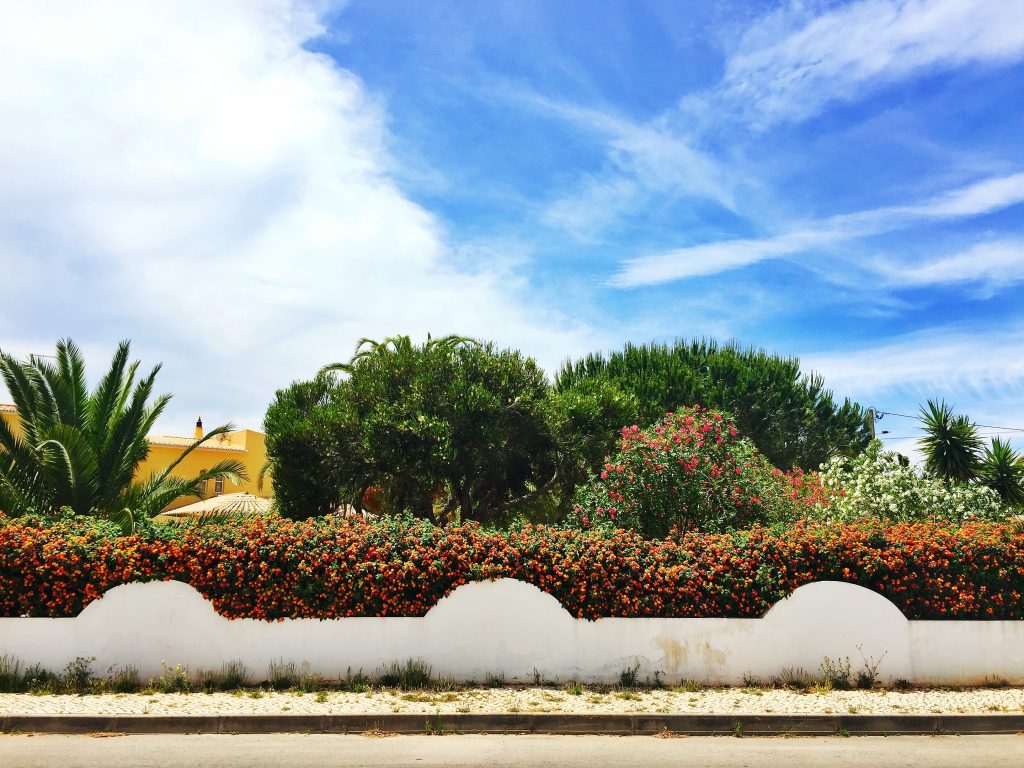 Algarve Coast