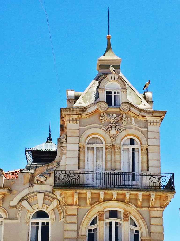 Algarve Stork