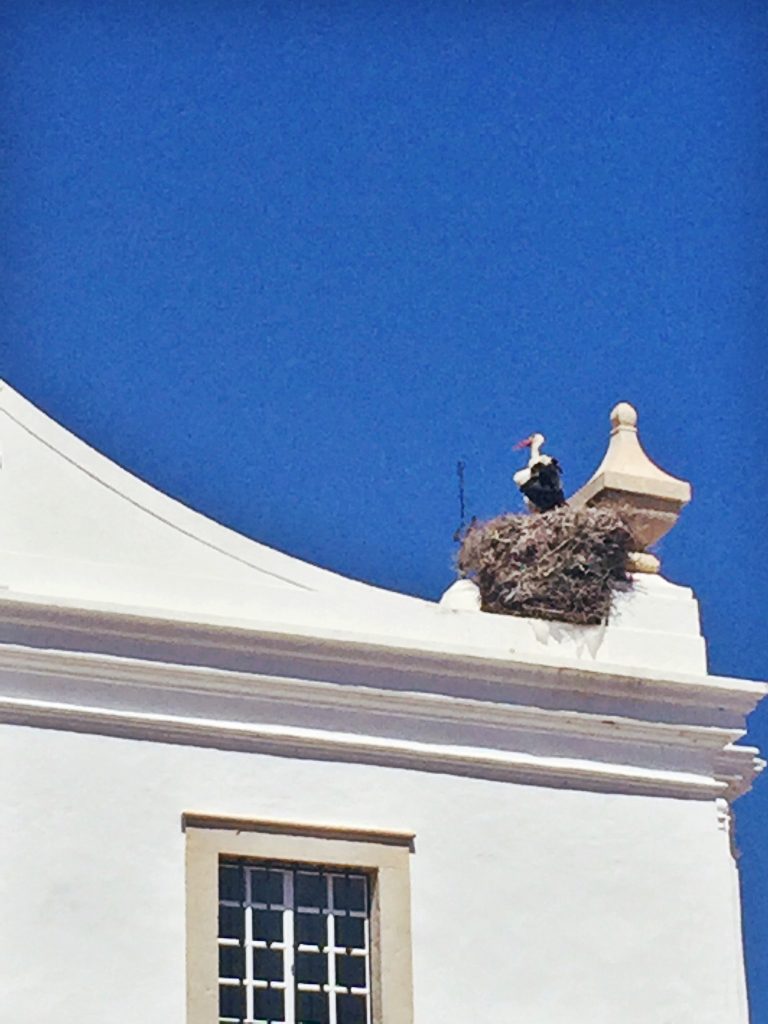 Algarve Stork