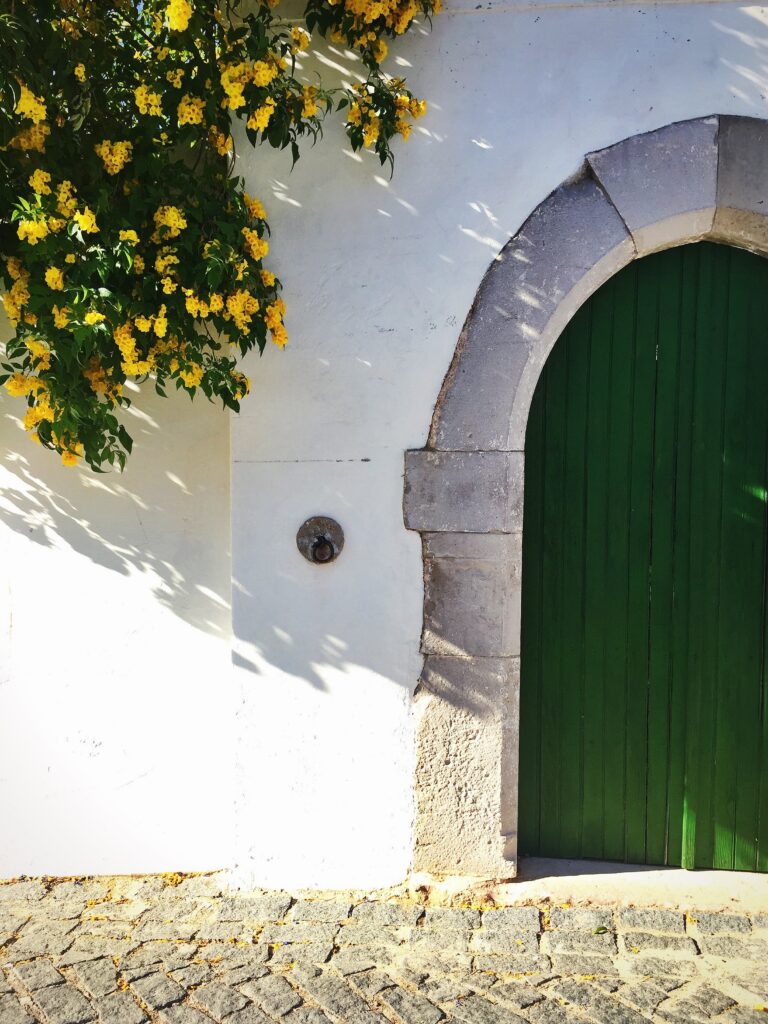 Vegan in Tavira