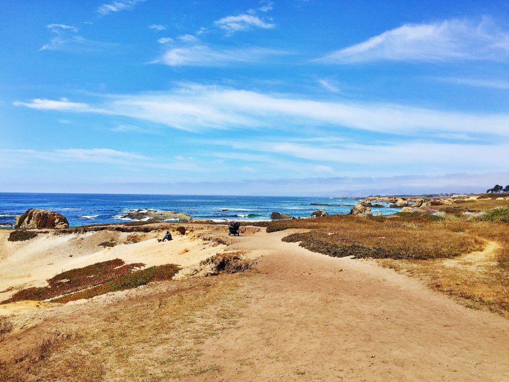 Vegan Travel: Mendocino, California